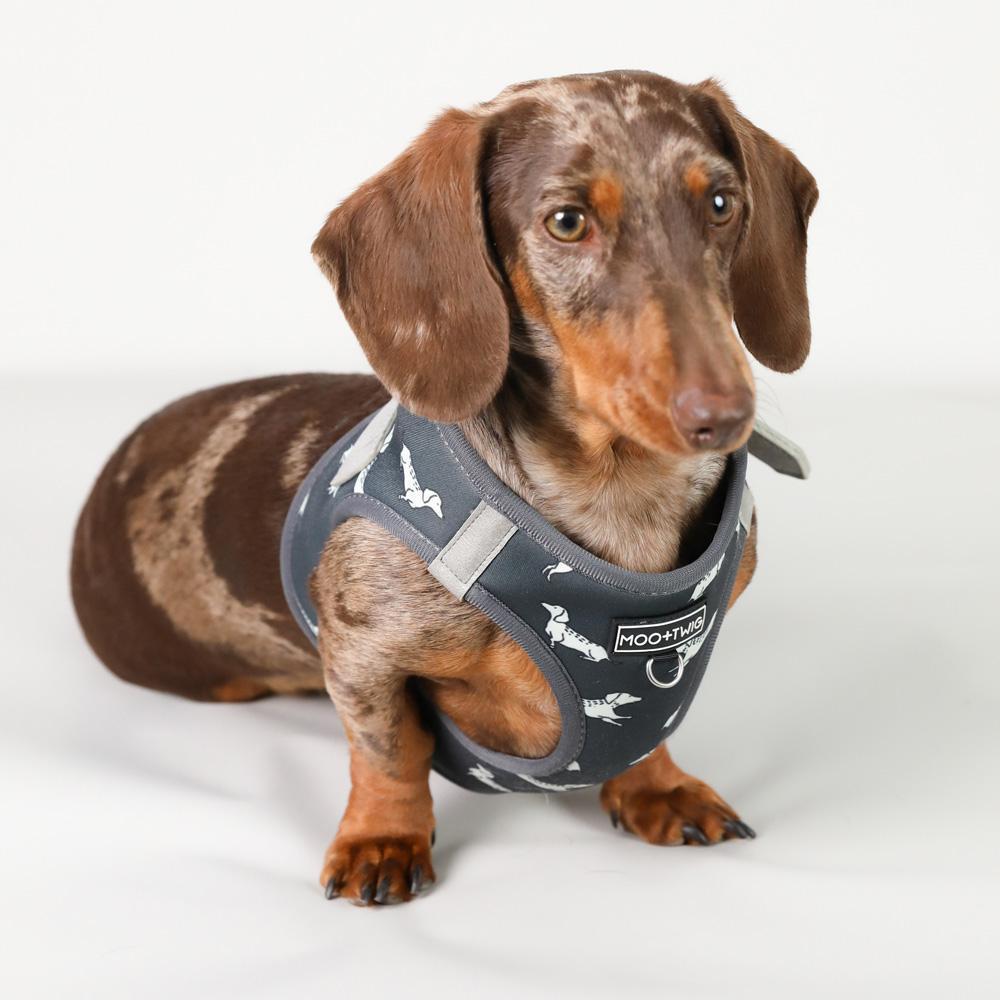 Vegan Leather Step In Dog Harness The Twiggy Charcoal